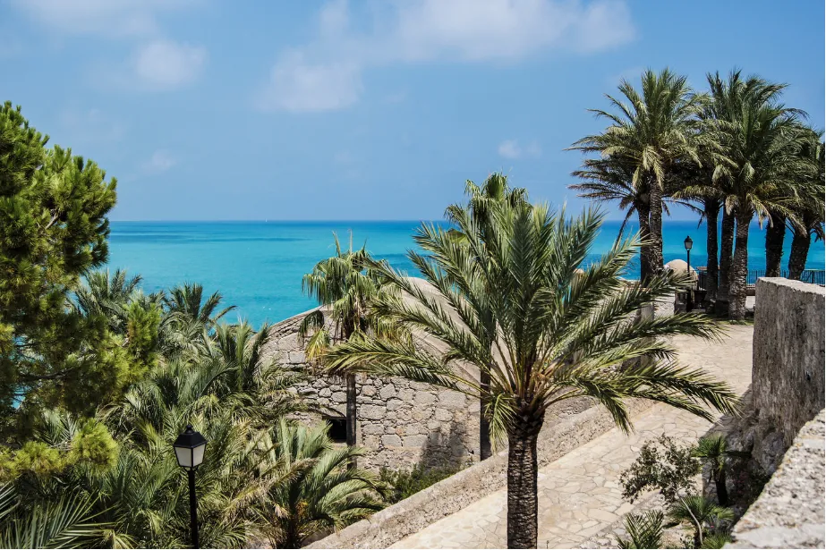 Diseño sin título (32)_web